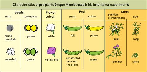 The Early History of Genetics – History and Science of Cultivated Plants