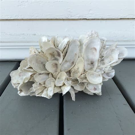 Decorative Objects | Shell crafts diy, Oyster shell crafts, Shell crafts