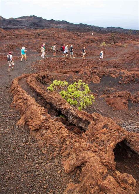 21 Galapagos Islands Volcanoes (Active, Dormant, Location Chart ...