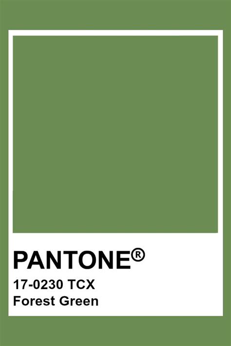 PANTONE 17-0230 TCX Forest Green Color