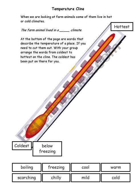 Temperature Cline - ESL worksheet by emstacks