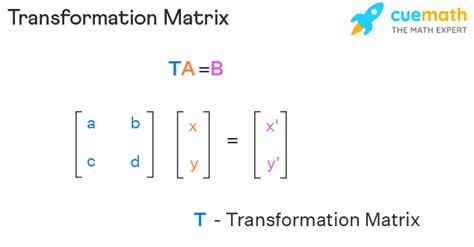 Transformation Matrix - Definition, Formula, Applications, Examples