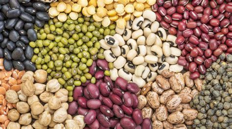 What's A Legume And Why Should I Eat It? | HuffPost Life