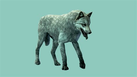 ArtStation - Wolf Walk Cycle - 3D Animation