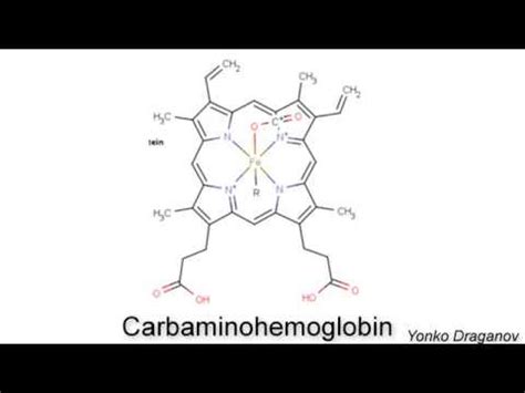 carbaminohemoglobin - YouTube