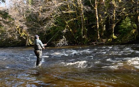 Video Pro Tips: Spey-Casting Around Obstacles - Orvis News