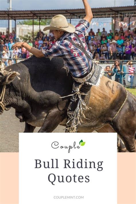 150+ Famous Bull Riding Quotes To Inspire Your Next Ride