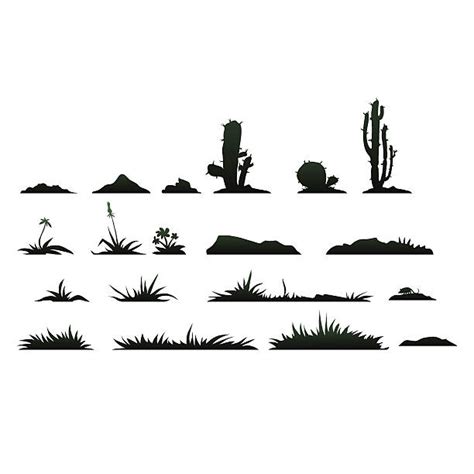 Cactus Thorn Illustrations, Royalty-Free Vector Graphics & Clip Art - iStock