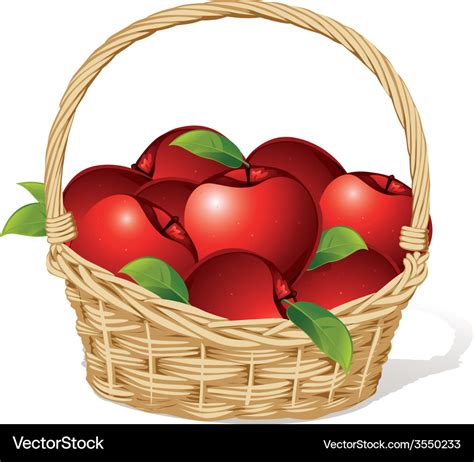 Red apples in a basket isolated on white Vector Image