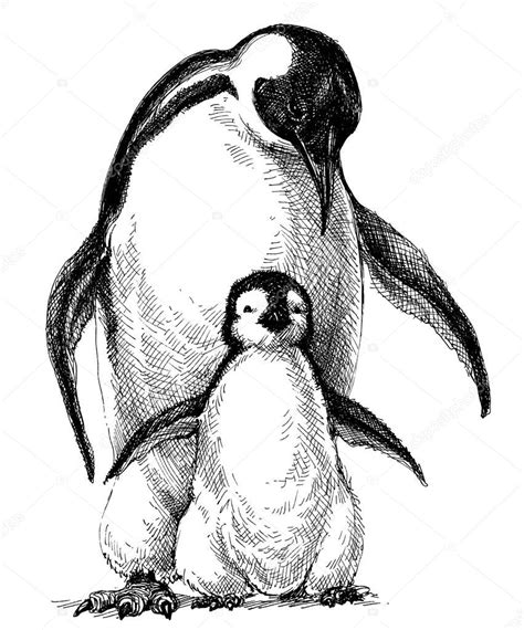 Dibujo De Pinguinos / Dibujos Para Colorear De Navidad Sencillos - Para Colorear