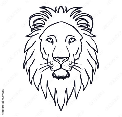 Easy Lion Head Drawings