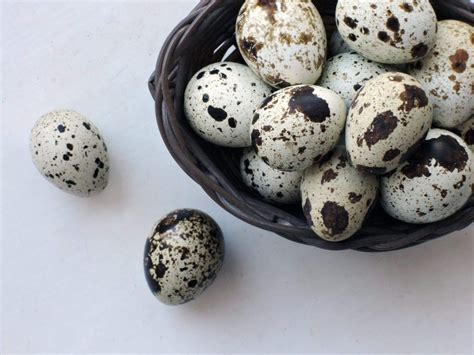 38 Amazing Benefits Of Quail Eggs