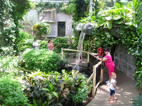 One Tank Trips: The Cambridge Butterfly Conservatory has reopened its ...