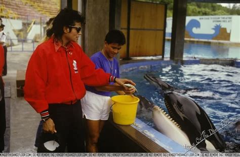 Michael with Willy (from Free Willy the movie) :) | Michael jackson, Michael jackson bad, Jackson