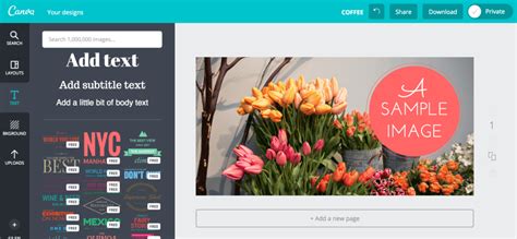 7 (Truly) Free Graphic Design Tools for Beginners - Big Sea