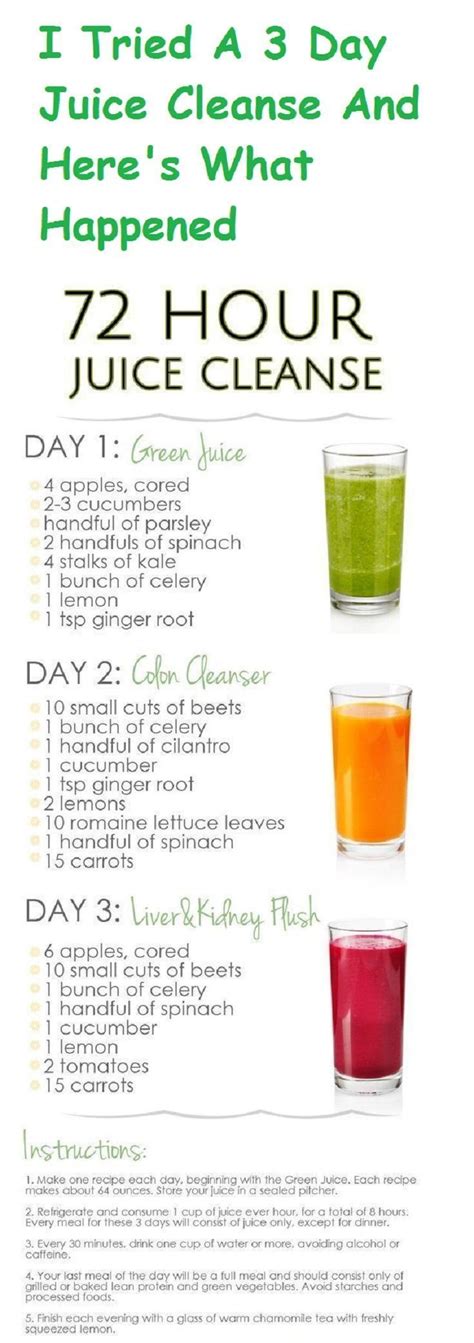 3 Day Weight Loss Juice Cleanse Recipes – Food Recipe Story