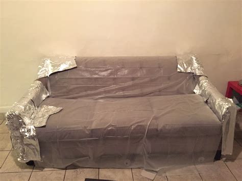 The solutions to protecting furniture from cat scratching the arms. Aluminum Foil! | Pet ...