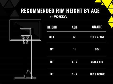 Basketball Hoop Heights | Rim Height By Age | Net World Sports