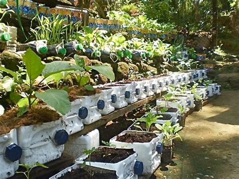 Small Vegetable Garden Ideas Philippines - Gaby Serra