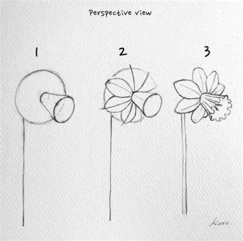 35 Easy Ways of How To Draw a Flower