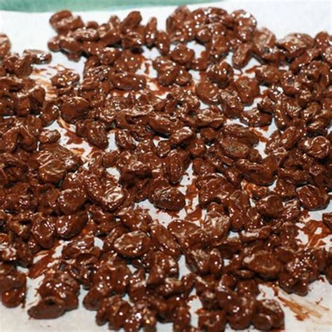 3 Ingredient Homemade Chocolate Covered Raisins with Chips, Coconut Oil, Raisins. | Chocolate ...