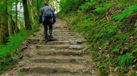 Visiting Killarney National Park: 5 Amazing Adventures