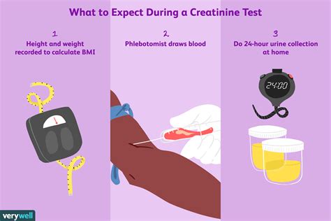 Creatinine Tests: Uses, Side Effects, Procedure, Results