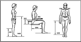 Ergonomic & Anthropometric - Ergonomics and Anthropometrics