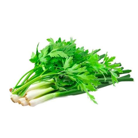 Soup & Onion Celery Leaves / Daun Sup Daun Bawang 100g – Daily Cart