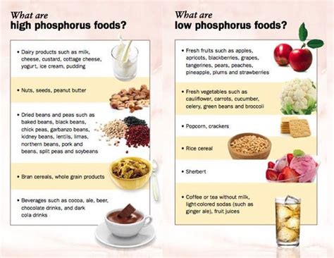 Phosphorous (P) - Nutrition - LibGuides at Health Science Information Consortium