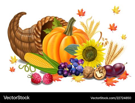 Fall harvest realistic pumpkin Royalty Free Vector Image