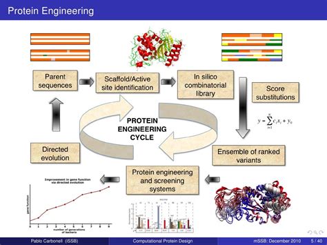 Computational Protein Design. 1. Challenges in Protein Engineering