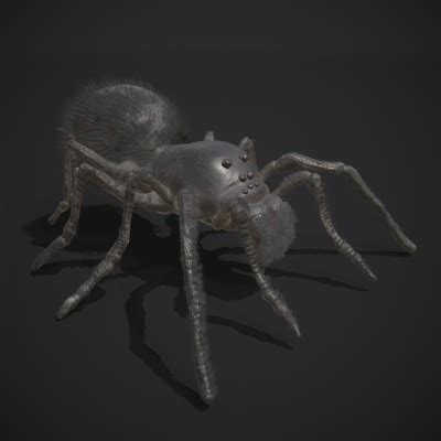 Black Spider - 3D Model by Get Dead Entertainment