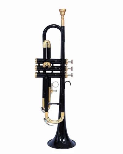 Piccolo Black Brass Active at Rs 5880 | MALL ROAD | Meerut | ID ...