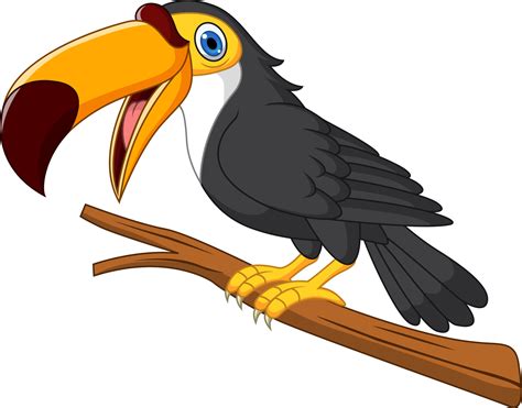 Toucan Cartoon