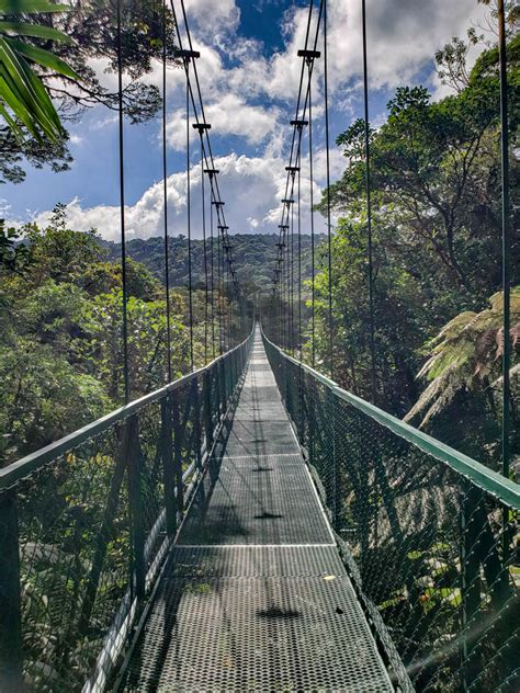 Hanging Bridges in Monteverde [2024 Guide]: Walking over the Cloud ...