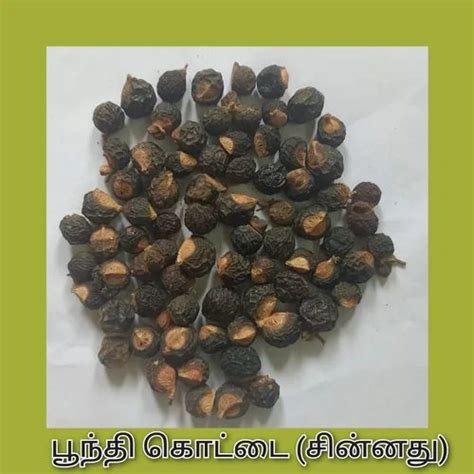 Bhilawa Seeds Semecarpus Anacardium, Packaging Type: Packet, Packaging Size: 200 g at Rs 500/kg ...