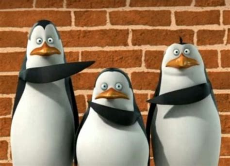 Penguins Of Madagascar Meme Templates