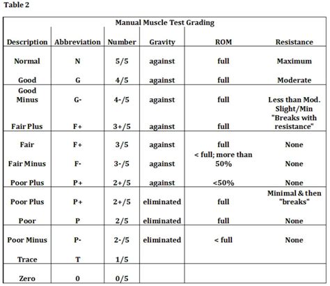 Manual Muscle Testing | Manual muscle testing, Muscle testing, Manual ...