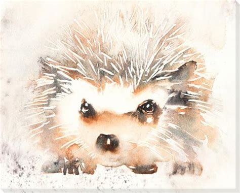 Hedgehog Wrapped Canvas Giclee Art Print Wall Art - Wall Decor - Artwork