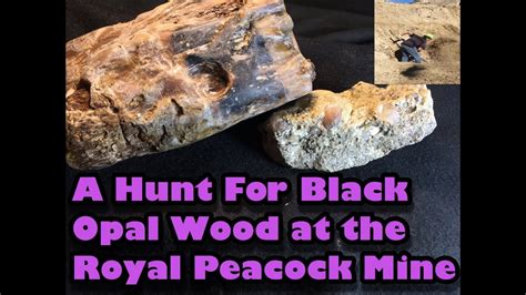 MINING AMERICA EP8 - Royal Peacock Opal Mine - Nevada - 5/15/2016 - 5 Star Lottery Spot Black ...
