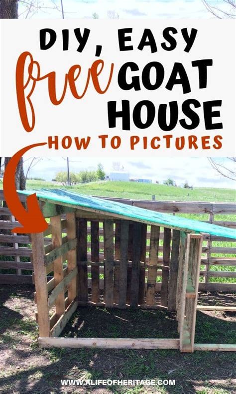 DIY, Easy, Free Goat House with Pictures | A life of Heritage