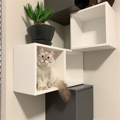 9 Stylish IKEA Hacks Your Cat Will Love | Apartment Therapy