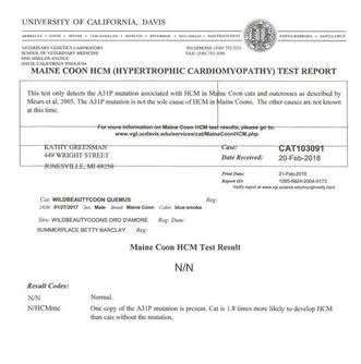 HCM-Testing