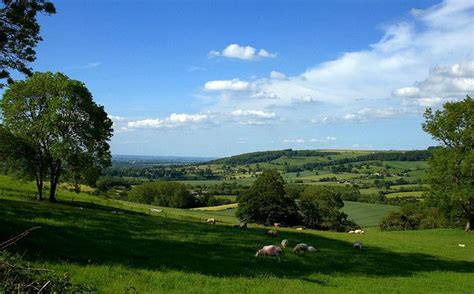 Cotswolds | Cotswolds tour, Cotswolds, Countryside