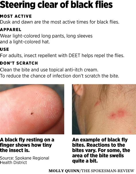 Black fly outbreak across Spokane brings itchy, bleeding misery | The Spokesman-Review
