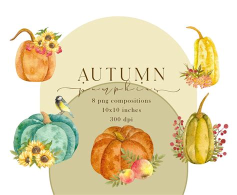 Watercolor Pumpkins Clipart, Fall Clipart Png, Fall Pumpkin - Etsy