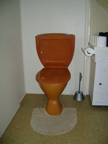 Brown Toilet | I'm guessing this bathroom was fitted out in … | Flickr