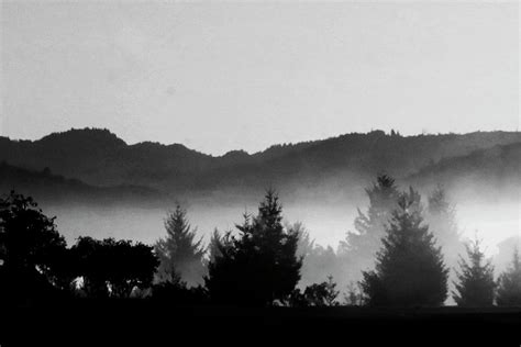 Black and White Fog Photograph by Pauline Darrow - Fine Art America