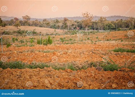 Lateritic soil stock photo. Image of surface, cultivated - 39858822